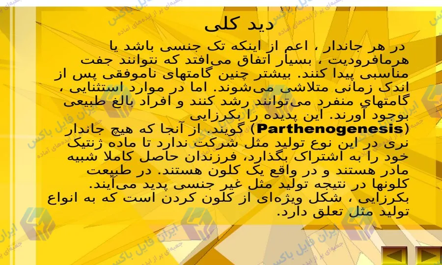 پاورپوینت زنبور عسل؛ تشکیلات کندو و تولید مثل در 50 اسلاید علمی