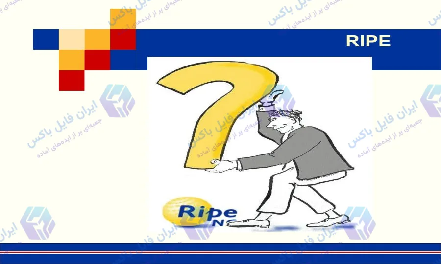 پاورپوینت بررسی گروه مطالعاتی مجامع بین الملل Ripe در ۲۷ اسلاید