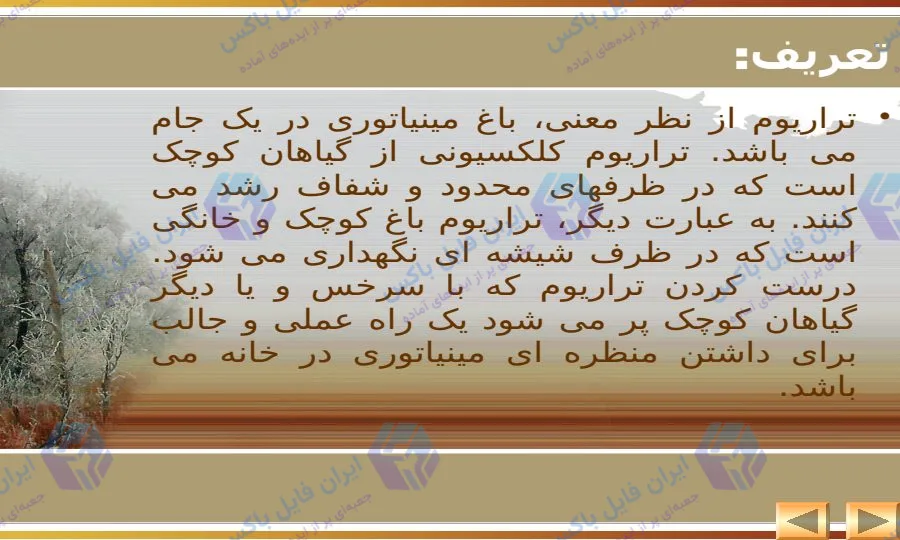 پاورپوینت جامع تراریوم معرفی انواع ساخت و اصول نگهداری باغ شیشه ای