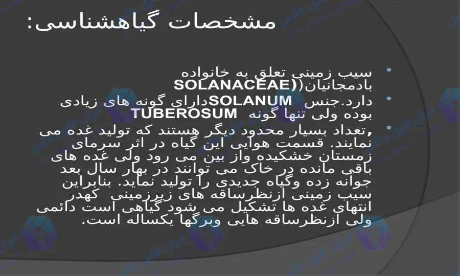 پاورپوینت جامع بررسی گیاه شناسی کاشت و خواص سیب زمینی ۳۹ اسلاید