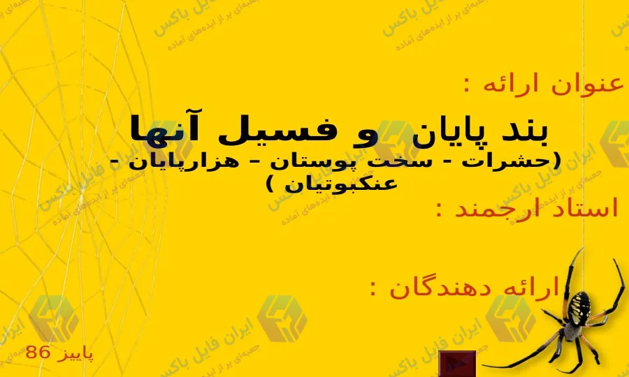 پاورپوینت جامع بندپایان و فسیل آنها در 80 اسلاید علمی و ویرایش پذیر