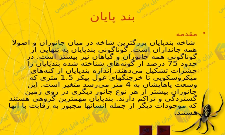 پاورپوینت جامع بندپایان و فسیل آنها در 80 اسلاید علمی و ویرایش پذیر