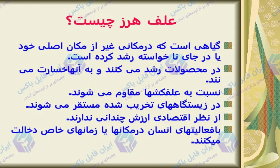پاورپوینت آمار خسارات علف های هرز گندم ۲۹ اسلاید آماده ارائه