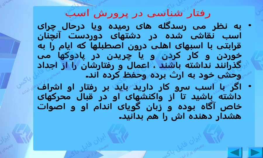 پاورپوینت جامع رفتار شناسی اسب در ۴۸ اسلاید قابل ویرایش