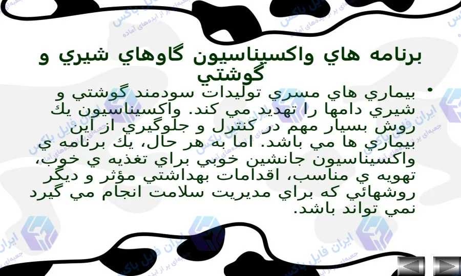 پاورپوینت برنامه های واکسیناسیون گاوهای شیری و گوشتی همراه فایل Word