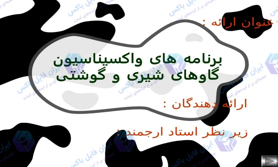 پاورپوینت برنامه های واکسیناسیون گاوهای شیری و گوشتی همراه فایل Word