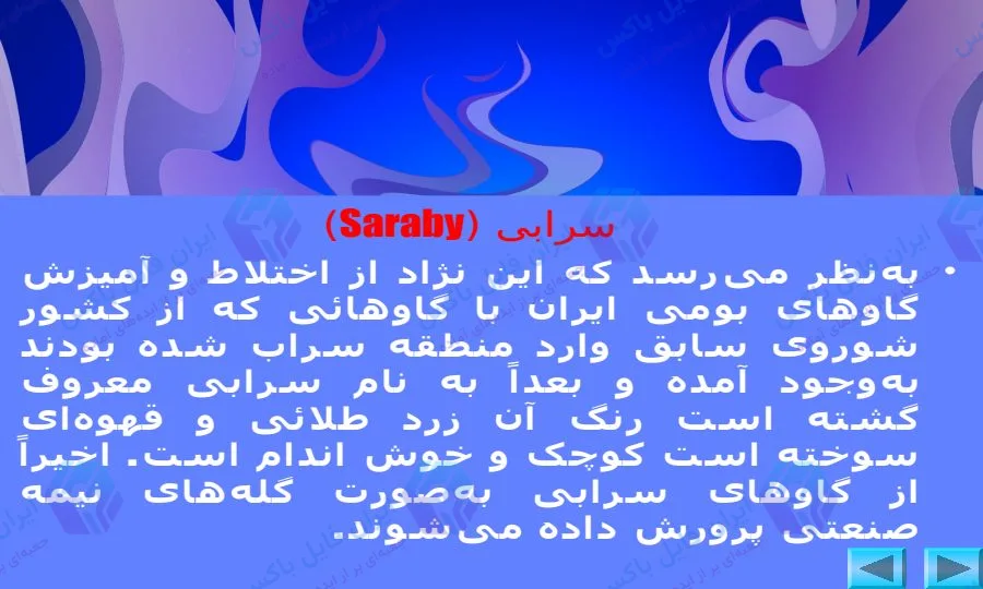 پاورپوینت معرفی گاوهای بومی ایران و نژادهای شیری جهان ۲۹ اسلاید