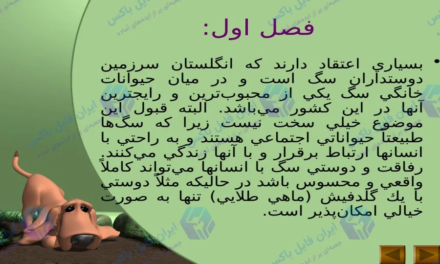 پاورپوینت رفتار شناسی سگ و تفسیر زبان بدن سگ ها ۴۱ اسلاید