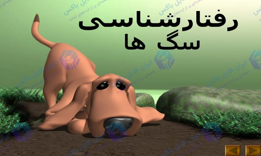 پاورپوینت رفتار شناسی سگ و تفسیر زبان بدن سگ ها ۴۱ اسلاید