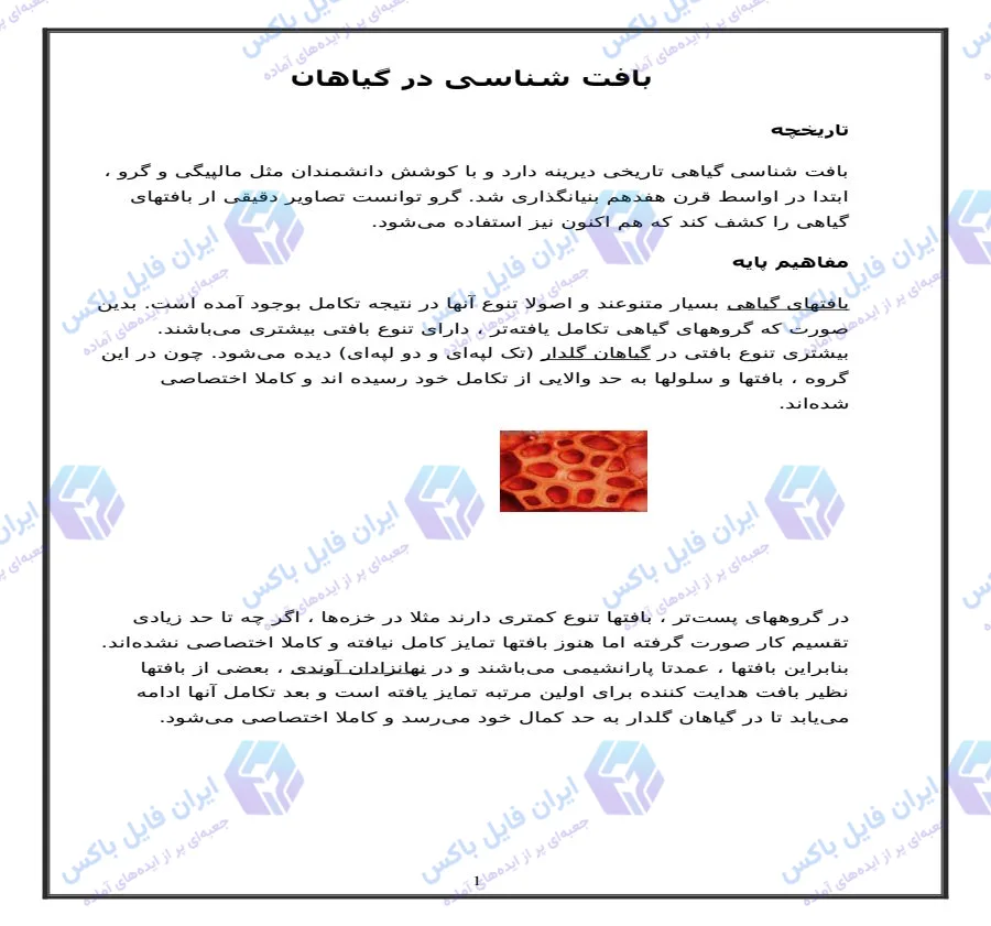 تحقیق کامل بافت شناسی در گیاهان فایل Word قابل ویرایش