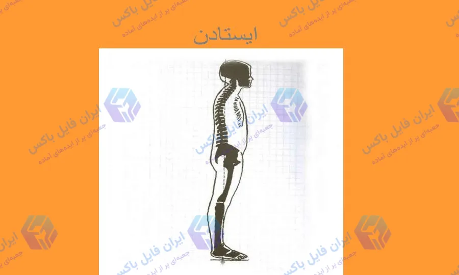 پاورپوینت ایستادن و راه رفتن 12 اسلاید آماده ارائه