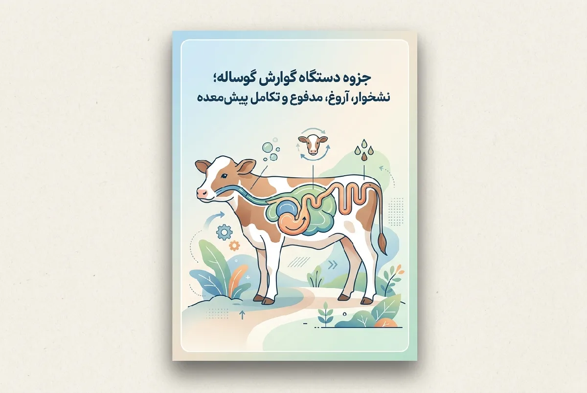 جزوه دستگاه گوارش گوساله؛ نشخوار، آروغ، مدفوع و تکامل پیش‌معده